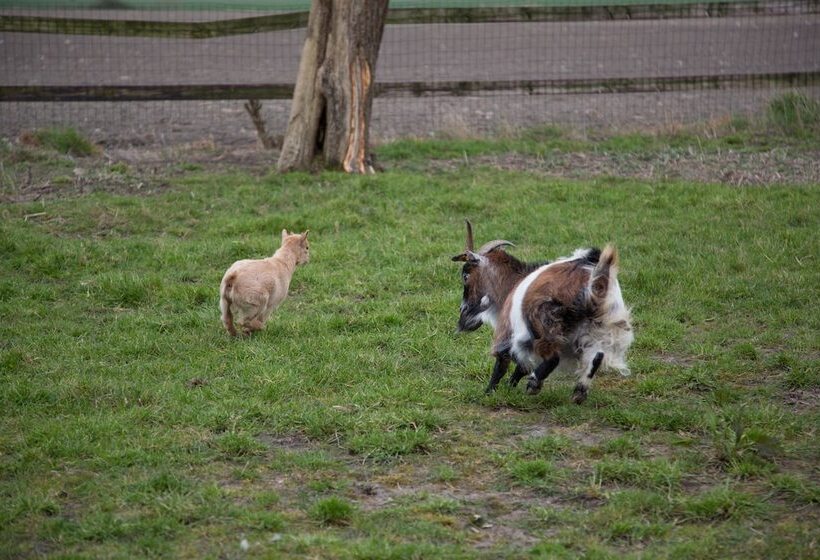 B&b Het Schaliënhof
