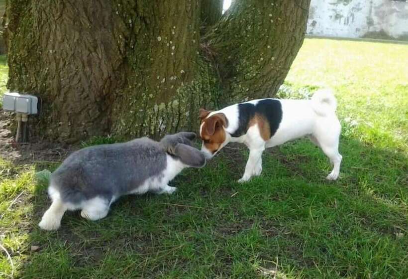 B&b Het Schaliënhof