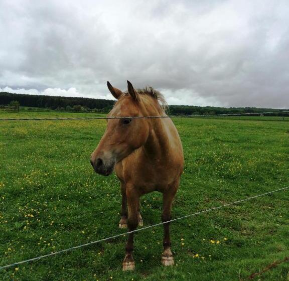 B&b La Ferme Du Doux