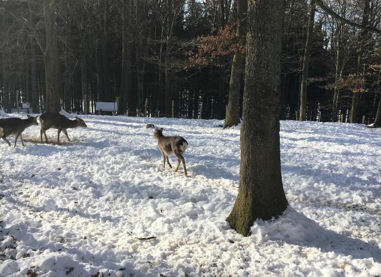 B&b La Ferme Du Doux