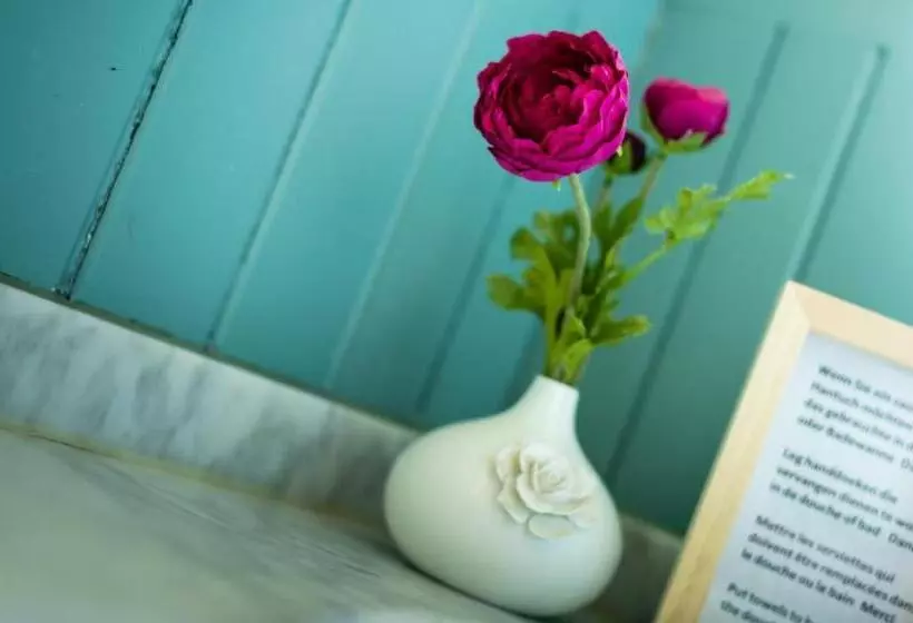B&b Maison Rabelais