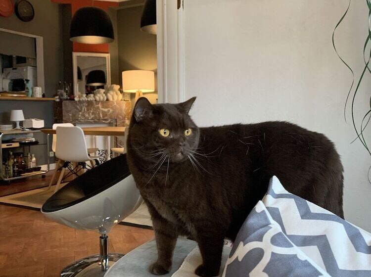 B&b Welcome To My Place