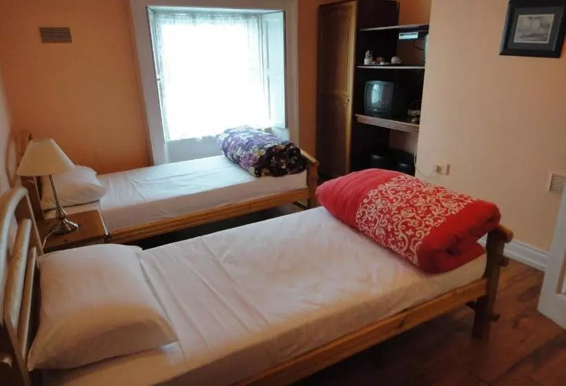 تختخواب و صبحانه Inn On The Liffey Guesthouse