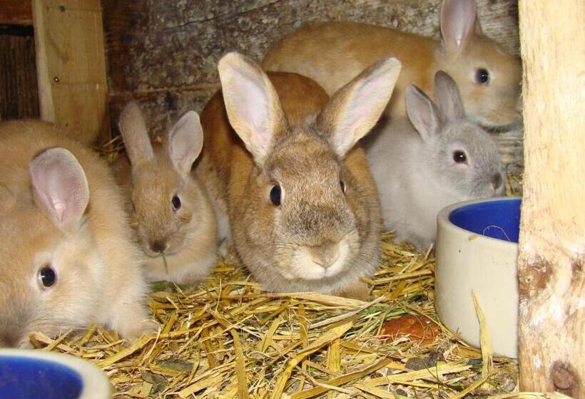 ベッドアンドブレックファースト Landhaus Teufl