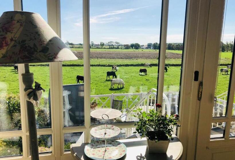 Bed & Breakfast Het Zilte Zand   Gratis Parking En Luxe Ontbijt   Westende