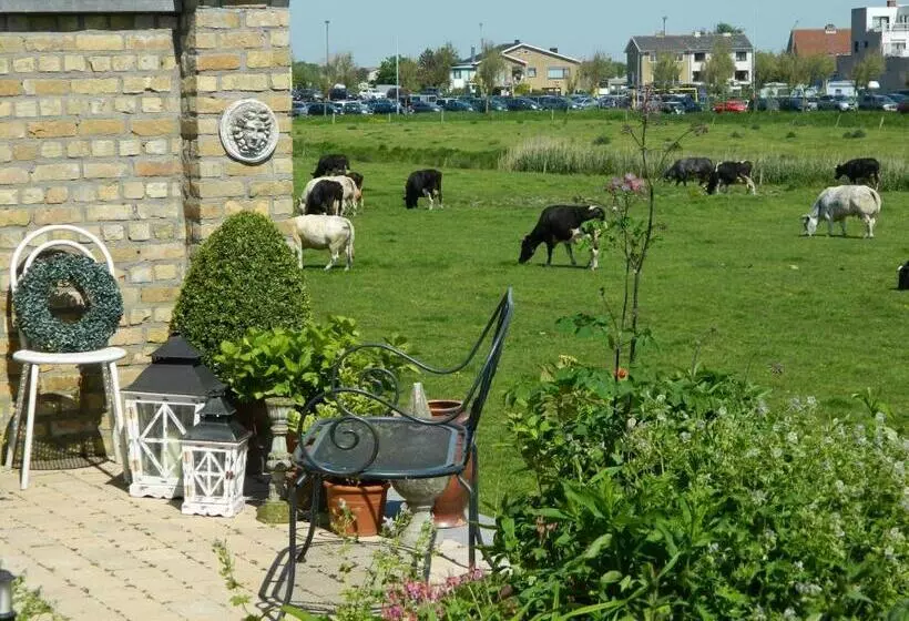 Bed & Breakfast Het Zilte Zand   Gratis Parking En Luxe Ontbijt   Westende