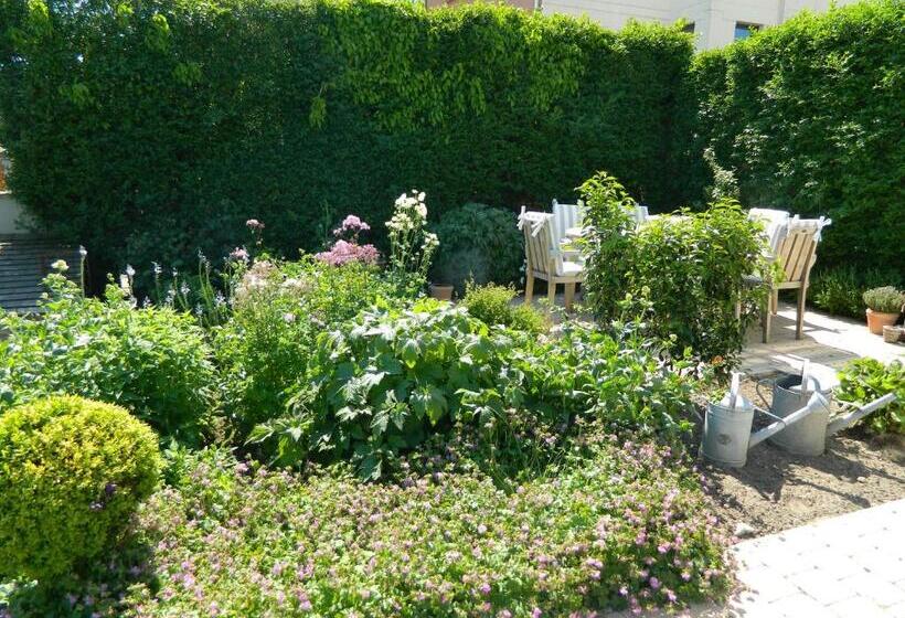 Bed & Breakfast Het Zilte Zand   Gratis Parking En Luxe Ontbijt   Westende