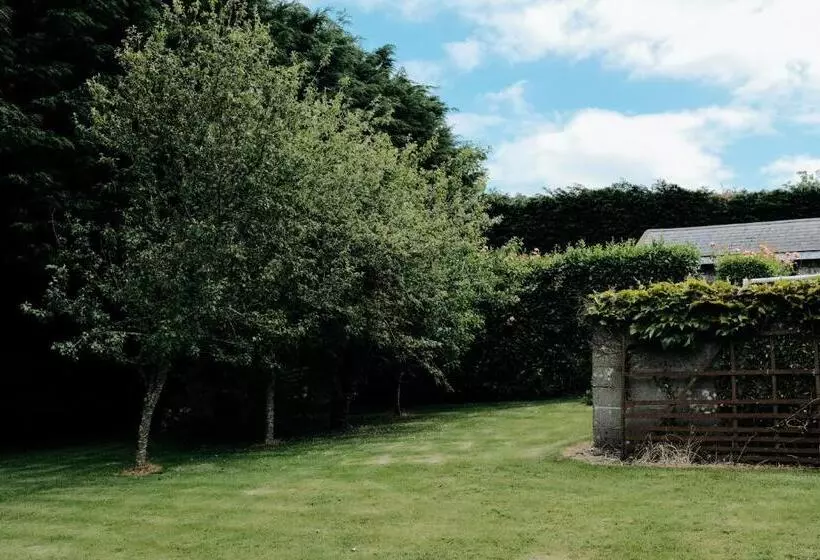Glenhill B&b