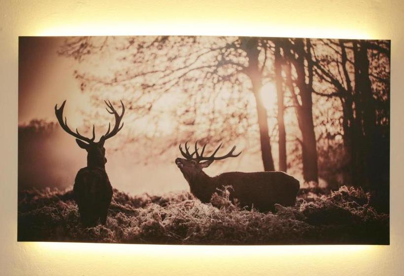 Lake And Cityhotel Edelweiss Self Check In