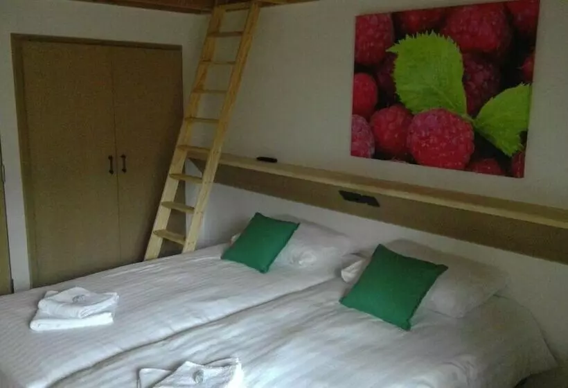 B&b De Steenhove