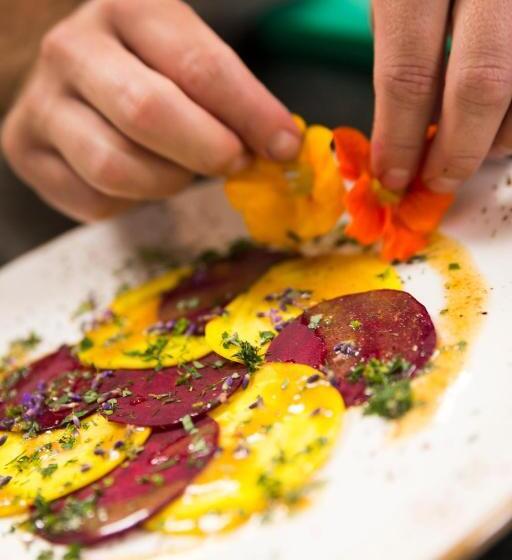 Bio Hotel Oswalda Hus