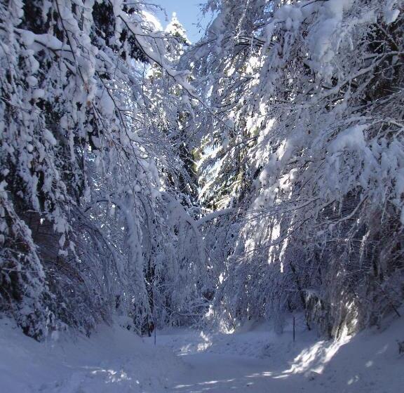 בית מלון כפרי Gasthof Strasswirt