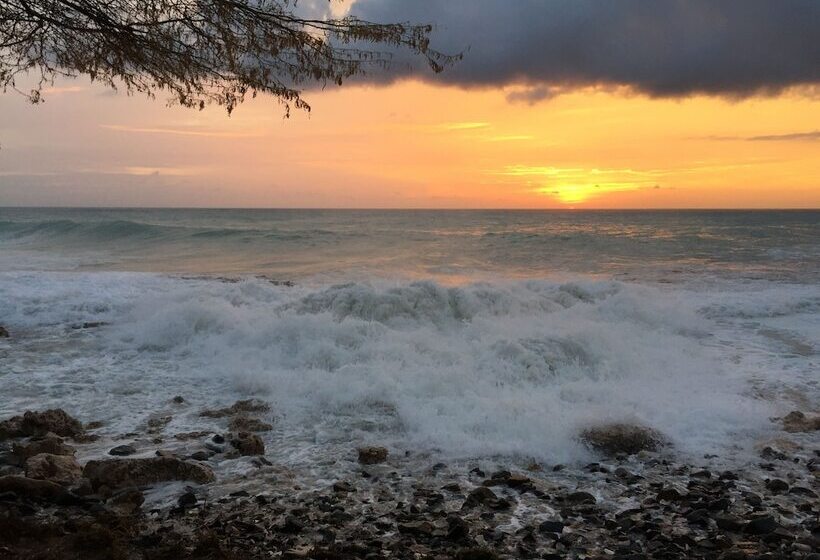 هتل Ocean Z Boutique