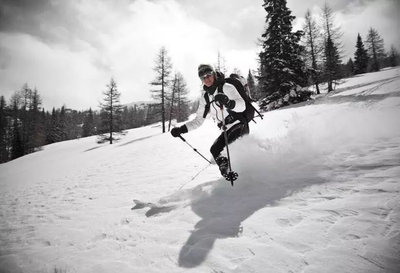 ホテル Schaus Lüftenegger Apart Zirbenpension