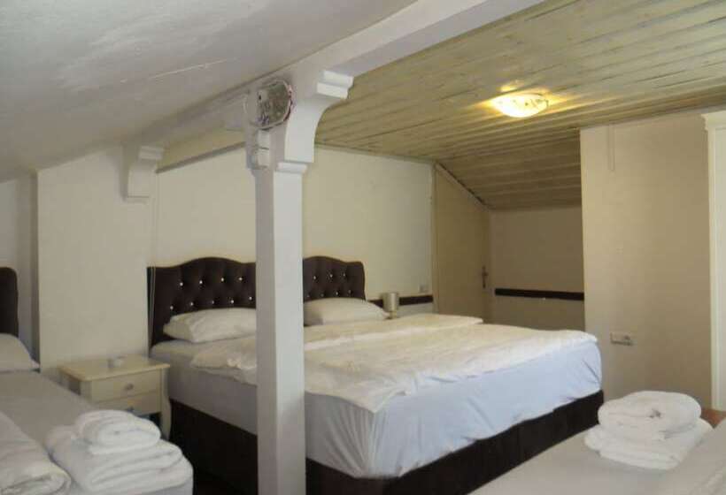 호텔 Sebile Hanim Konagi   Special Class