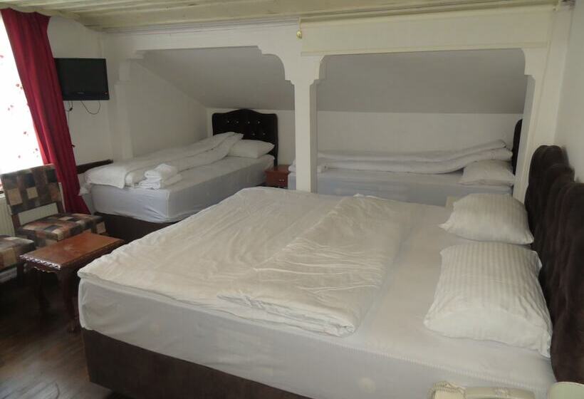 호텔 Sebile Hanim Konagi   Special Class