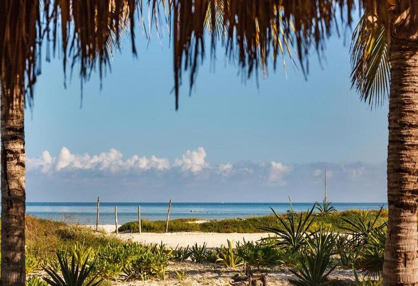 Szálloda Villas Hm Palapas del Mar