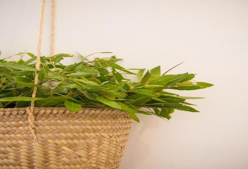 Szálloda Villas Hm Palapas del Mar