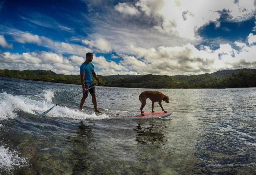 ユースホステル Beachouse Resort