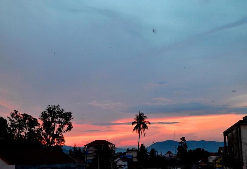 هاستل Bird S Nest