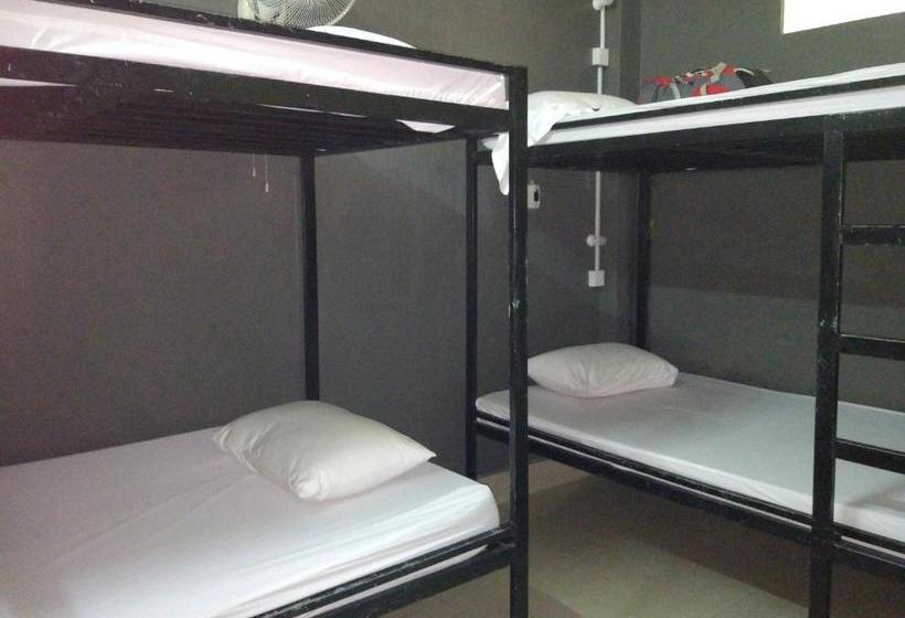 هاستل Bird S Nest