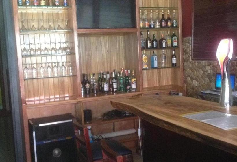 هاستل Bird S Nest