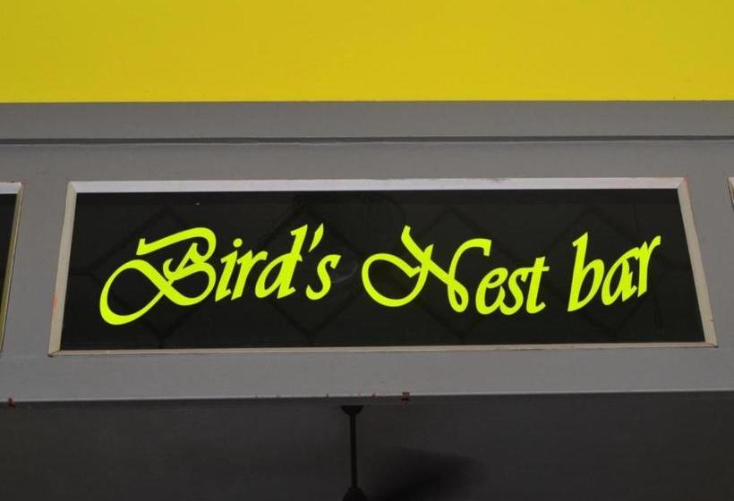 هاستل Bird S Nest