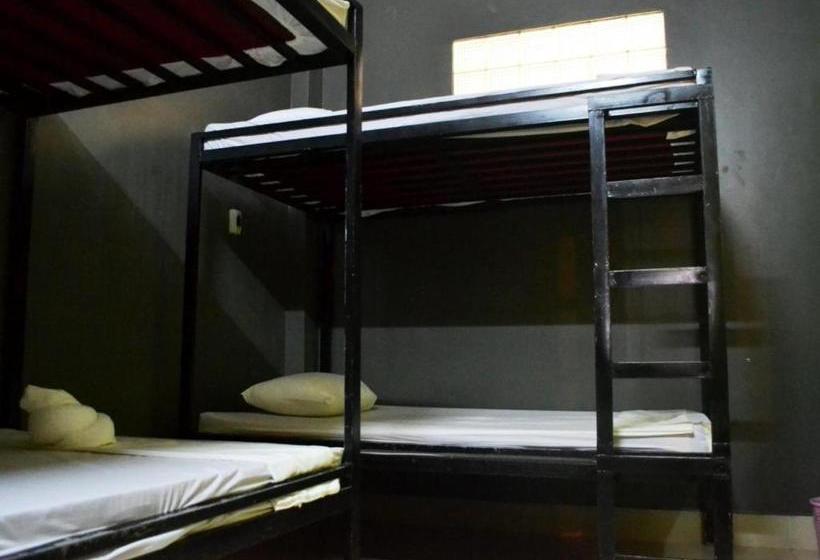 هاستل Bird S Nest