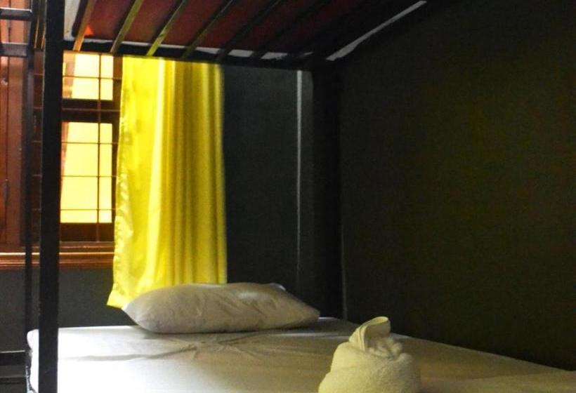 هاستل Bird S Nest