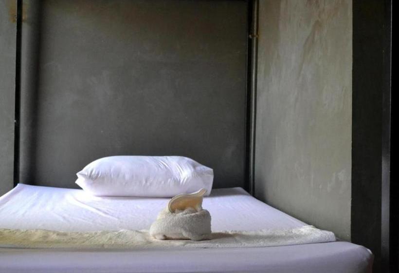 هاستل Bird S Nest