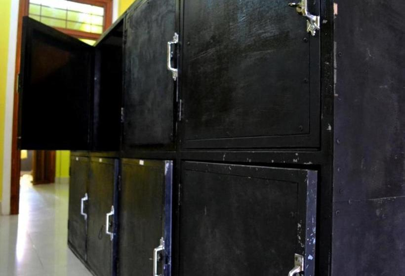 هاستل Bird S Nest