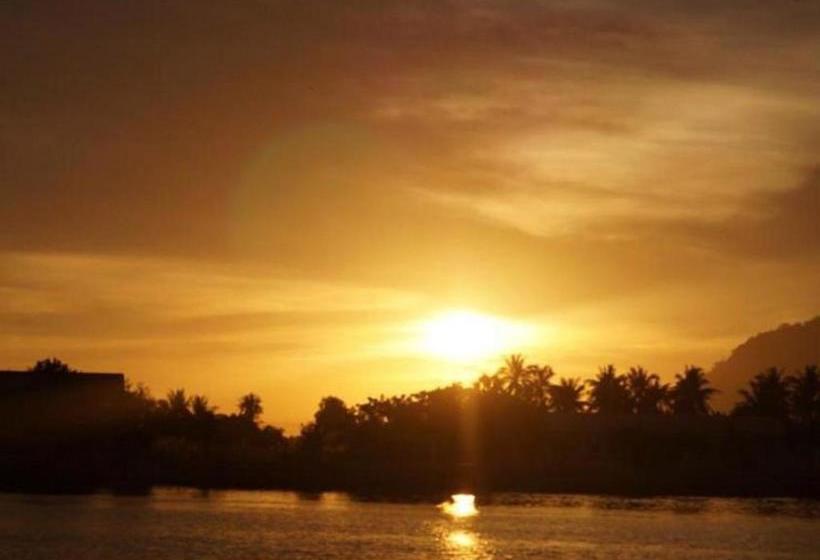 هاستل Bird S Nest