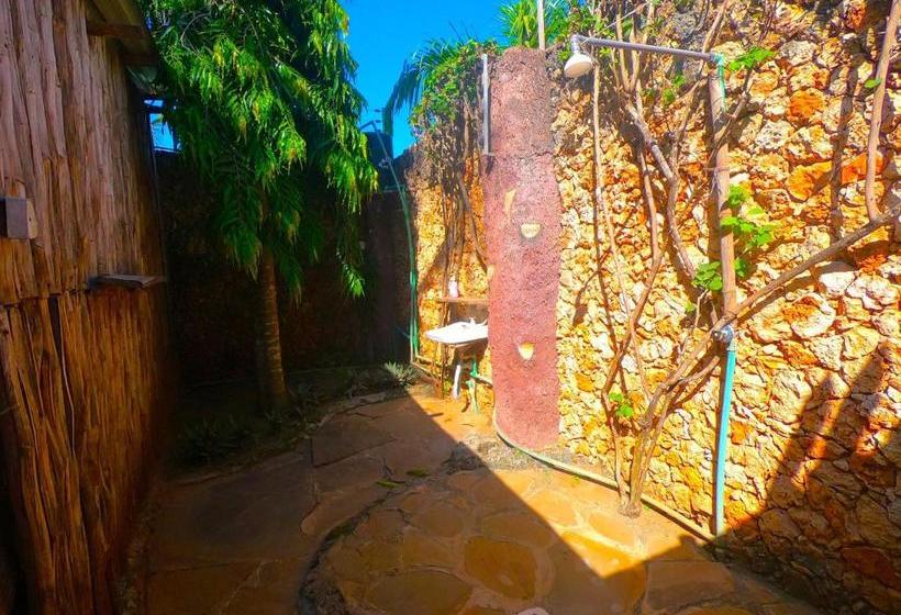 هاستل Diani Backpackers