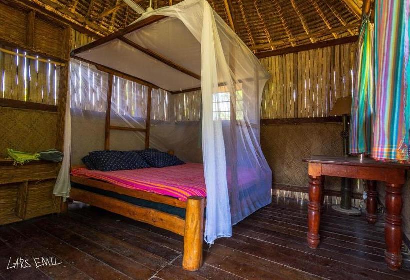 هاستل Diani Backpackers