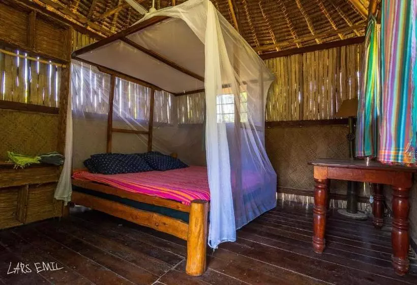 هاستل Diani Backpackers