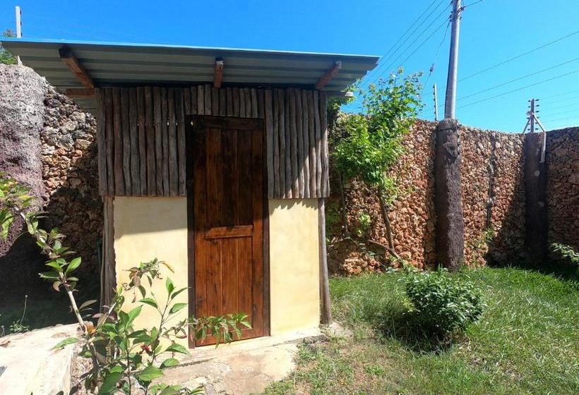 هاستل Diani Backpackers