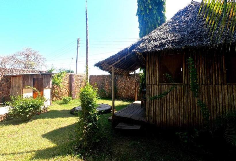 هاستل Diani Backpackers