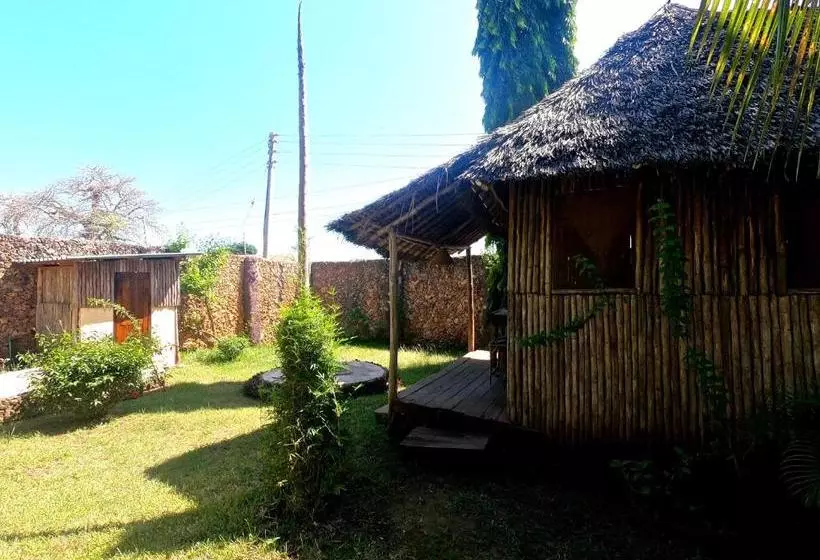 هاستل Diani Backpackers