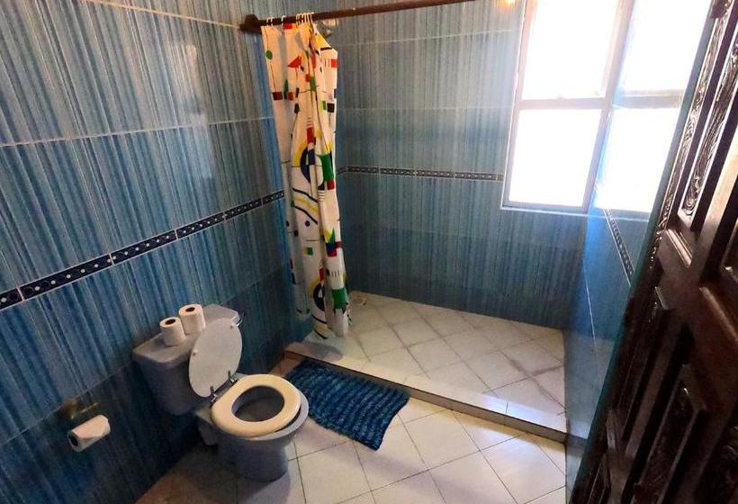 هاستل Diani Backpackers