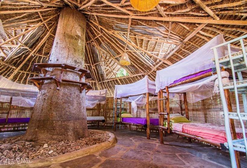 هاستل Diani Backpackers