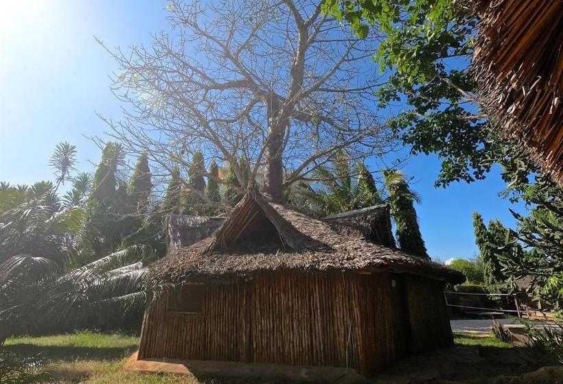 هاستل Diani Backpackers