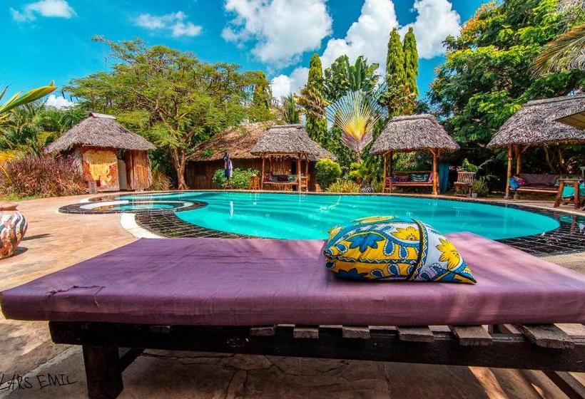 هاستل Diani Backpackers