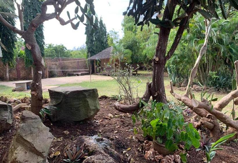 هاستل Diani Backpackers