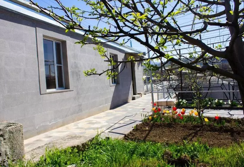 Lusya B&b