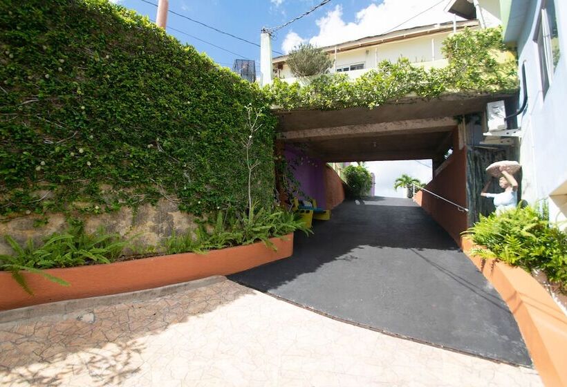 تختخواب و صبحانه Mandeview