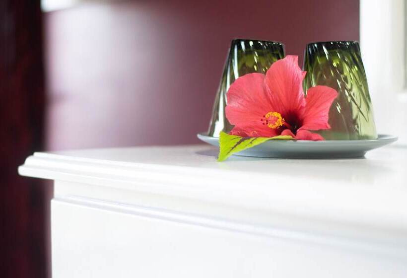 تختخواب و صبحانه Mandeview