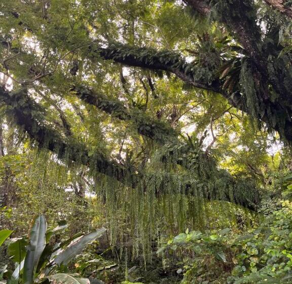 مبيت وإفطار Naveria Heights Lodge