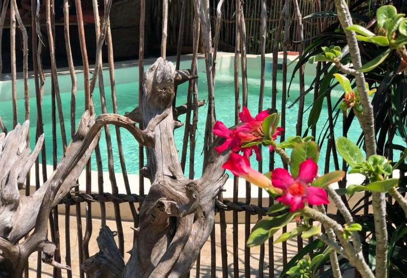 تختخواب و صبحانه Zawadi Residence