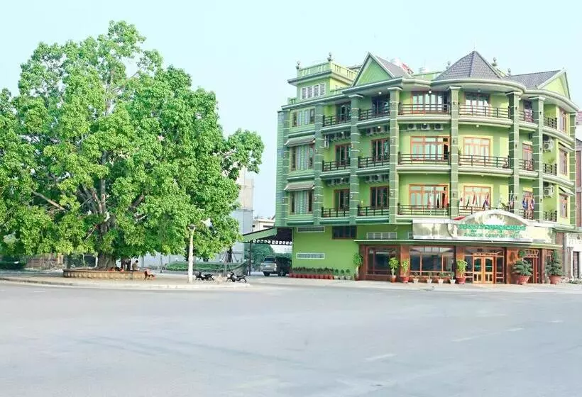 ホテル Angkor Comfort