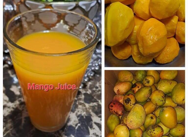 فندق Saint Charles Inn, Belize Central America